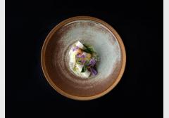 Aubergine