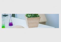 Artarmon Childcare & Preschool