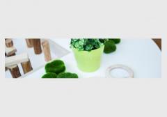 Cremorne Childcare & Preschool